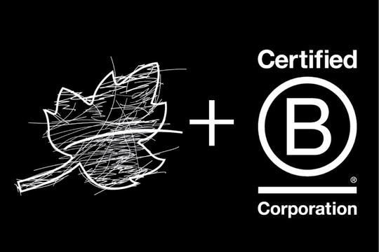 Our B Corporation Story