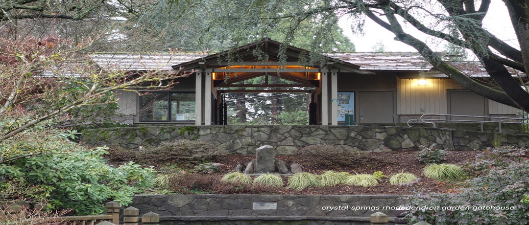 Waterleaf's Sustainability Action Plan
